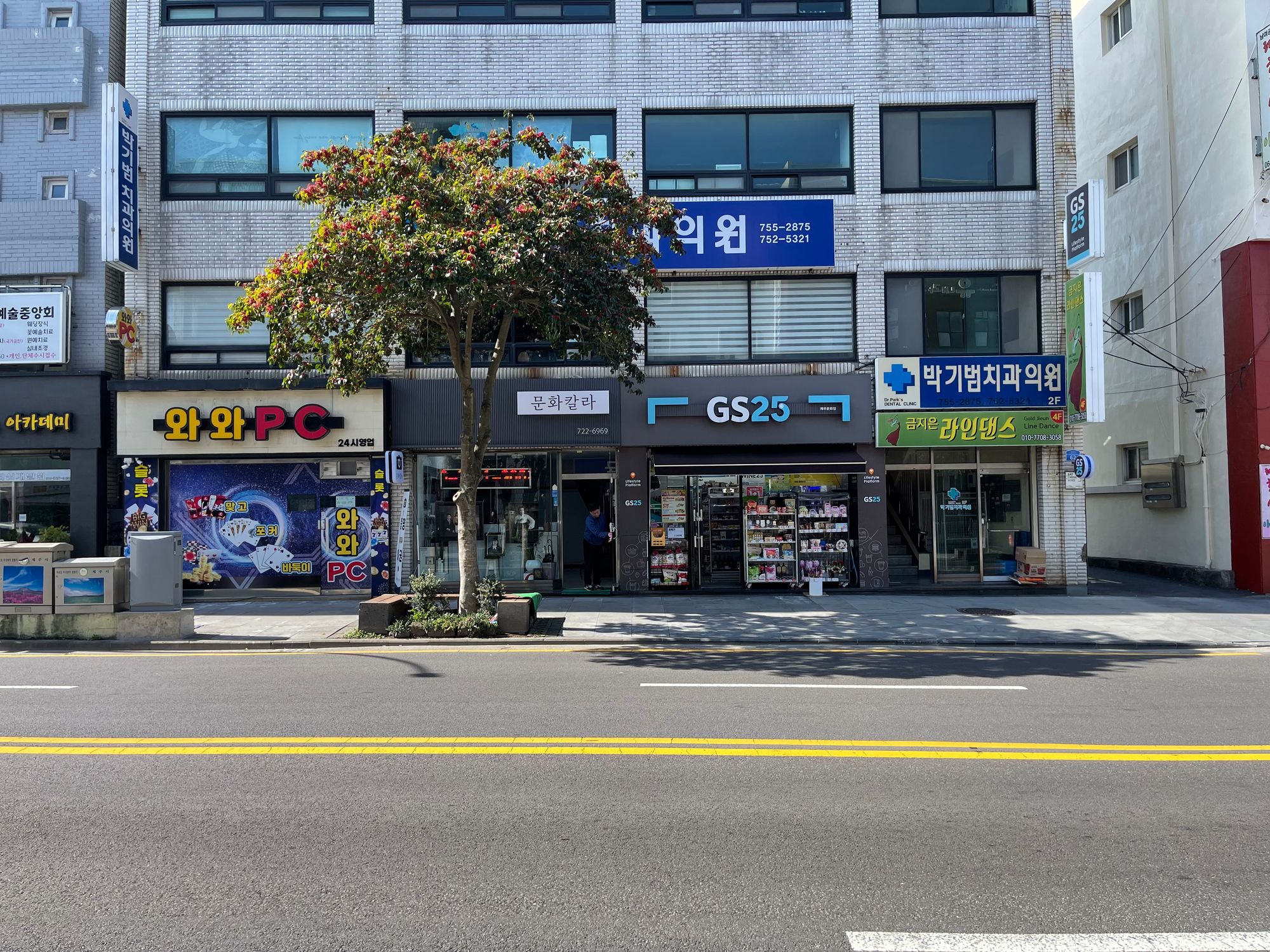 域外杂谈 - 济州岛旅行见闻