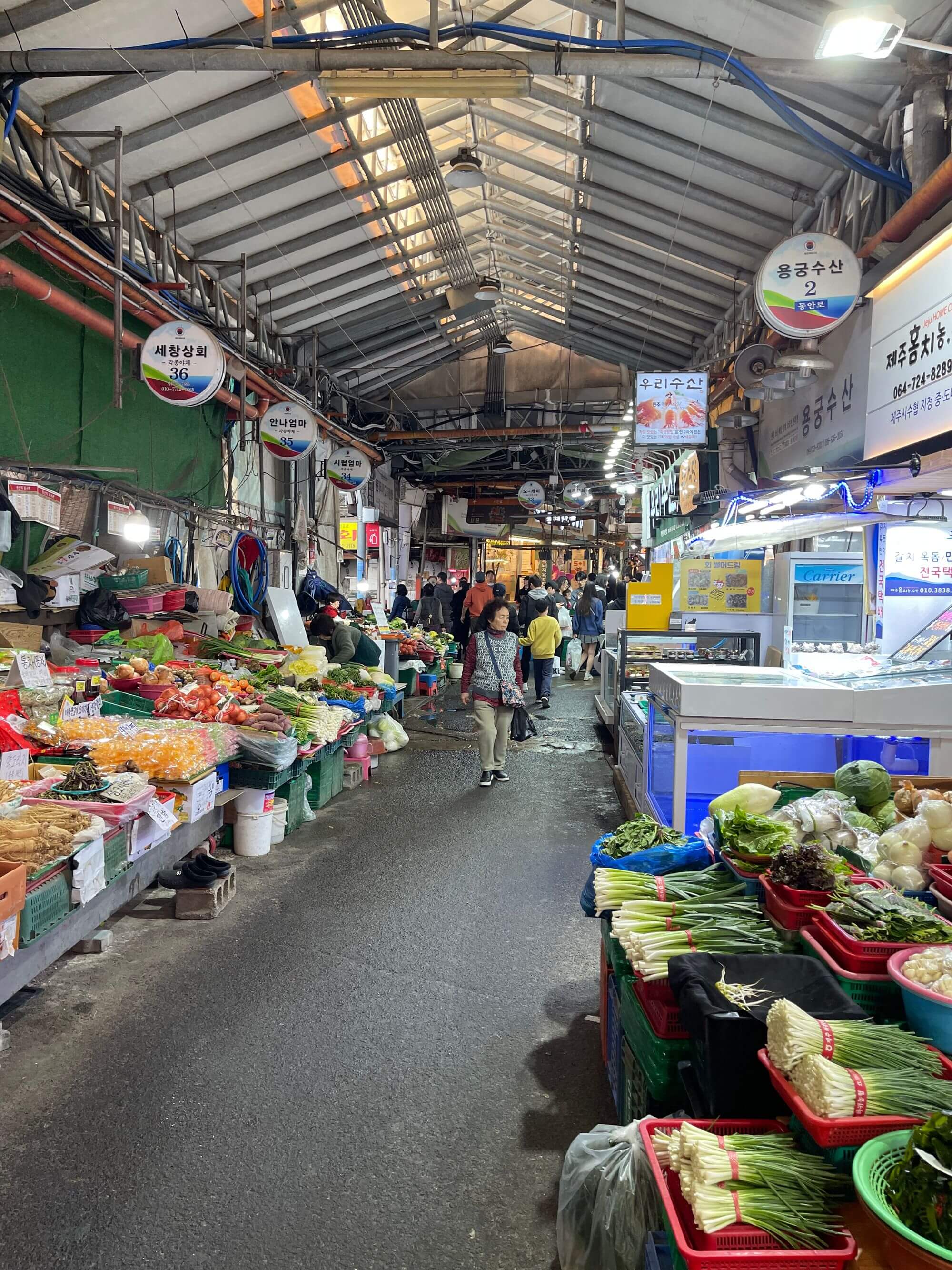 域外杂谈 - 济州岛旅行见闻
