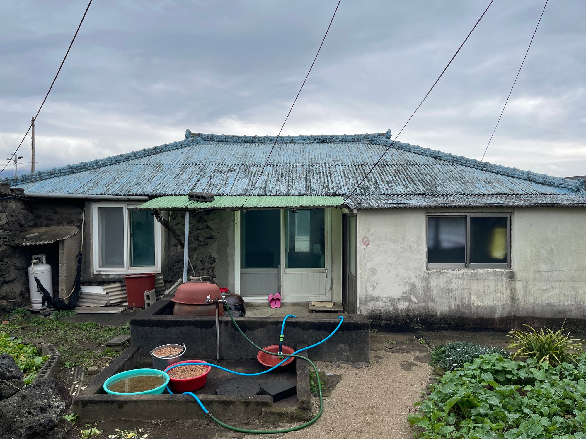 域外杂谈 - 济州岛旅行见闻