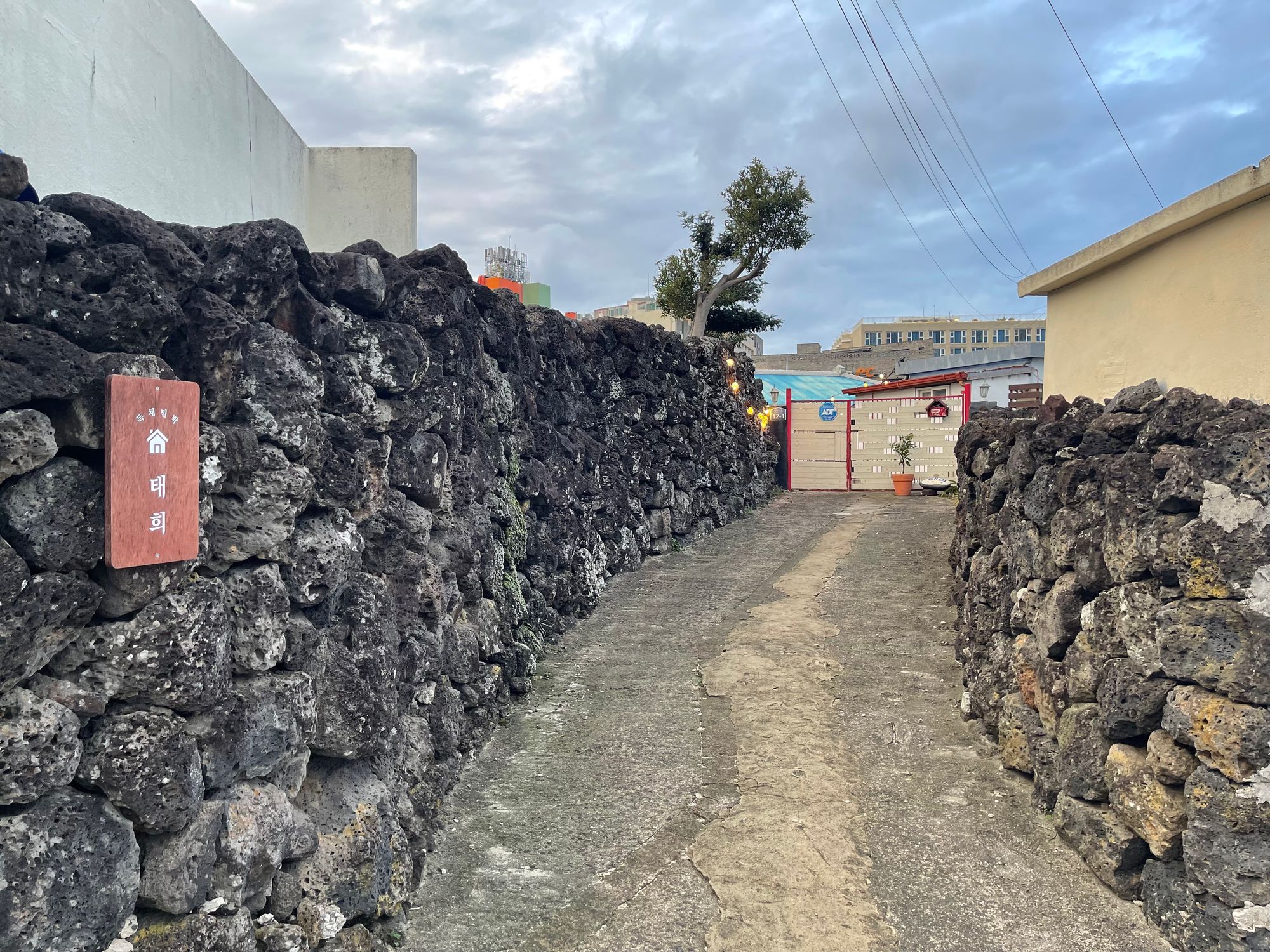 域外杂谈 - 济州岛旅行见闻