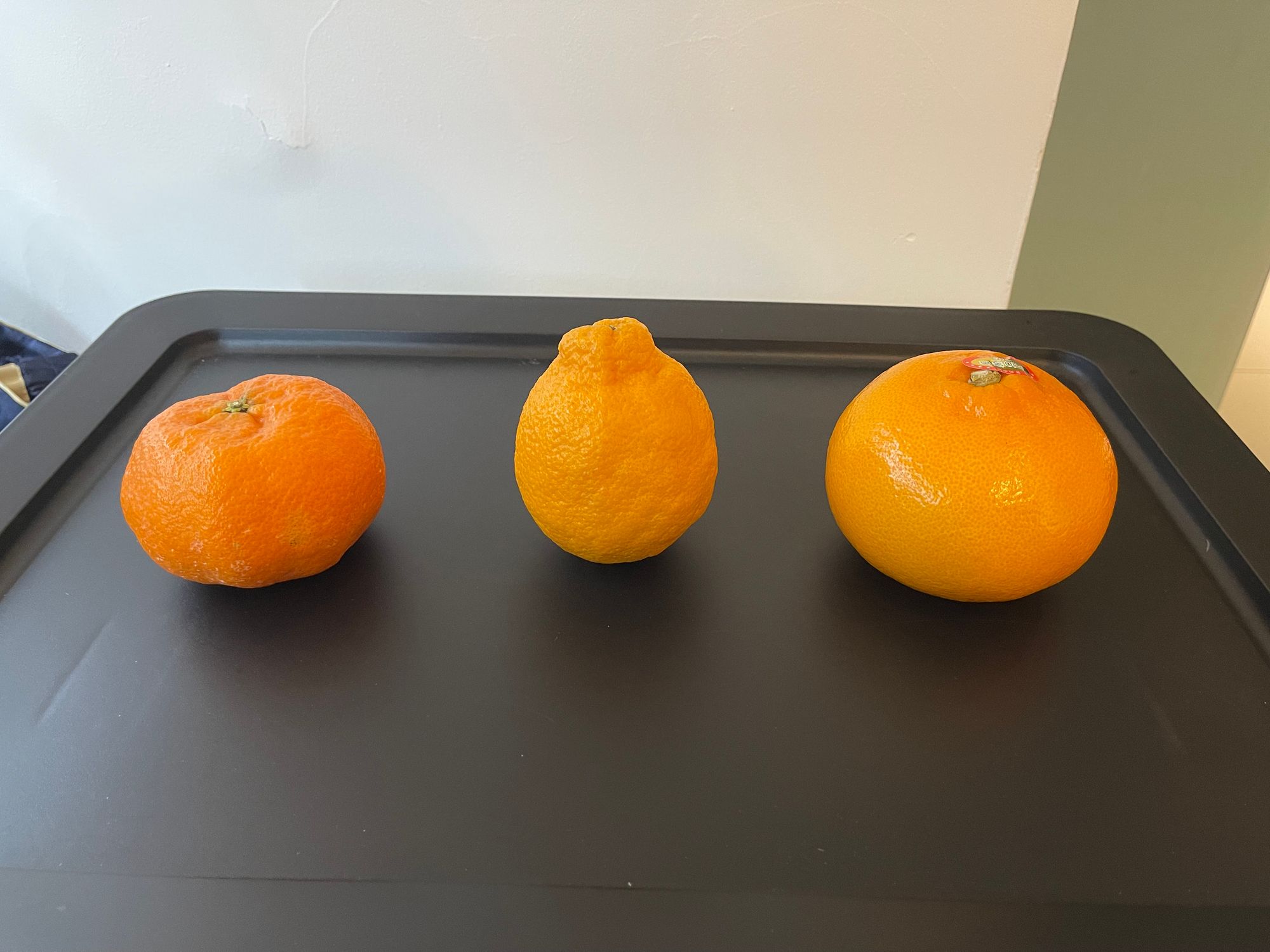 域外杂谈 - 济州岛旅行见闻