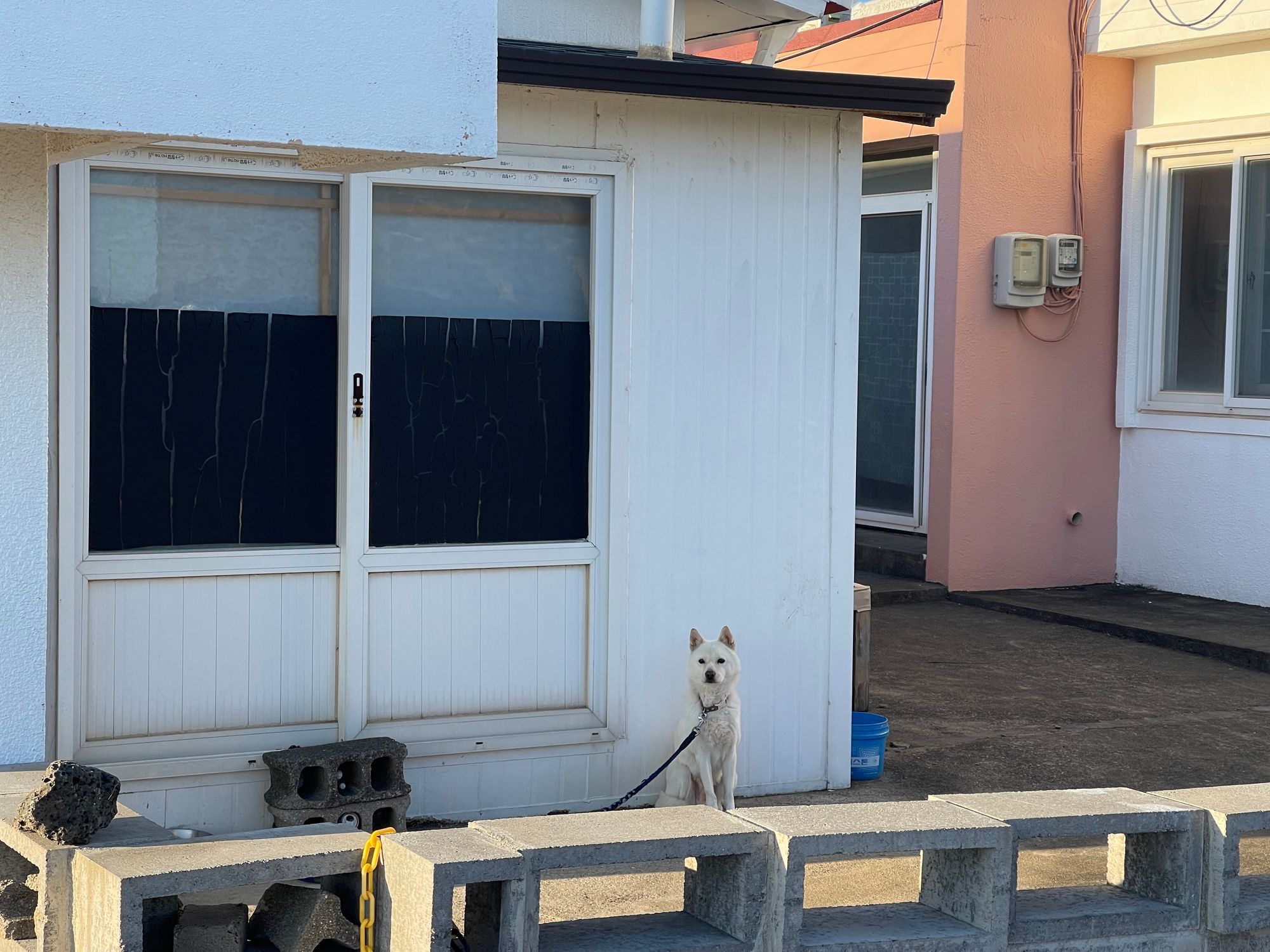 域外杂谈 - 济州岛旅行见闻