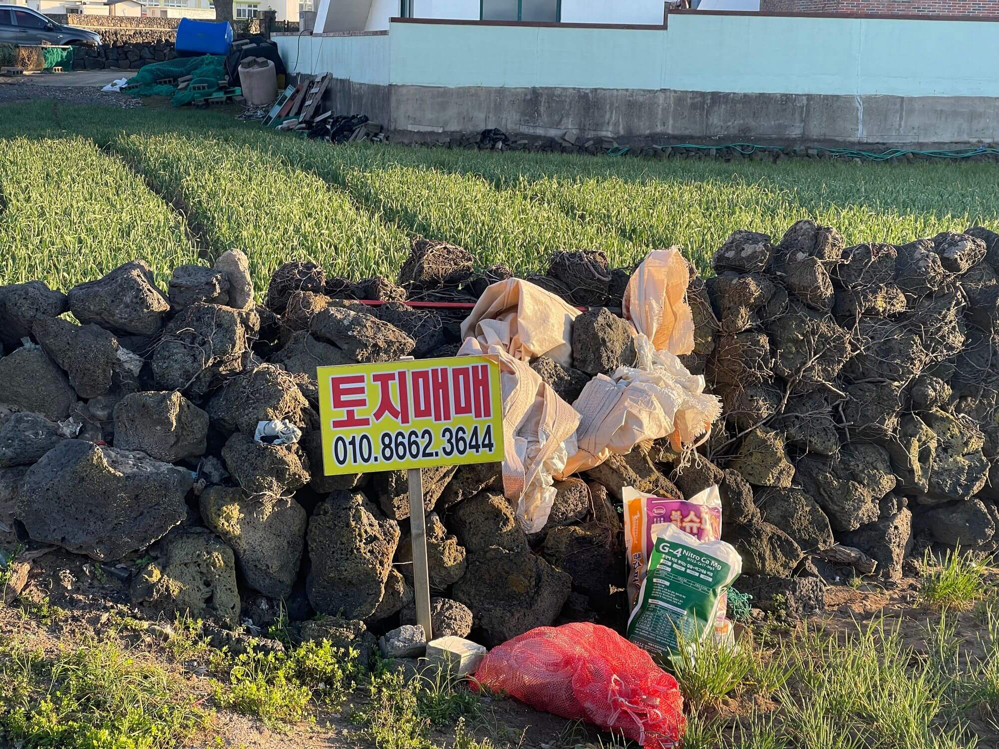 域外杂谈 - 济州岛旅行见闻