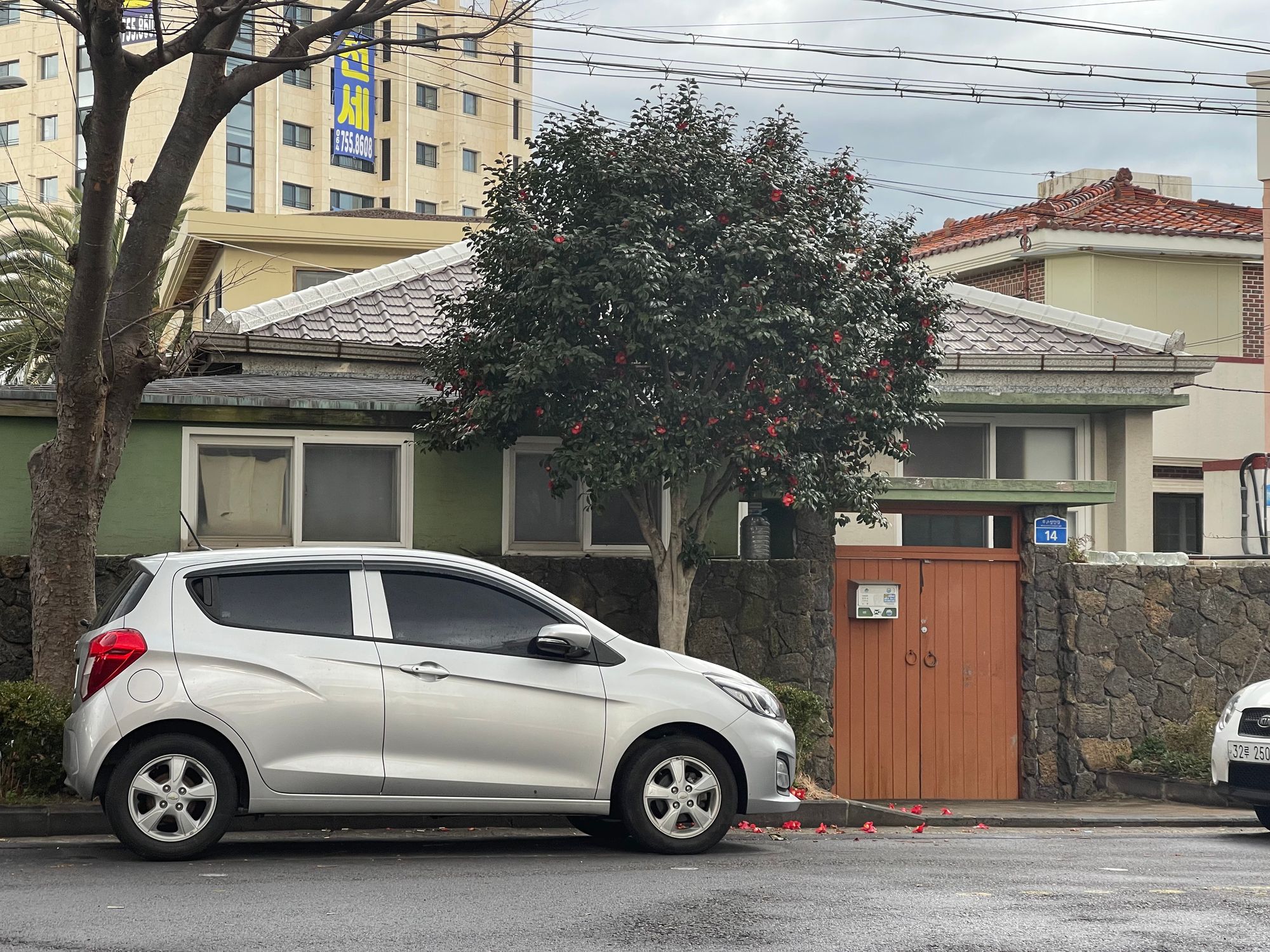 域外杂谈 - 济州岛旅行见闻